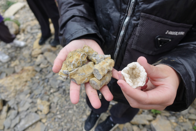 Палео находки 