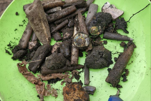 Белемниты и аммониты, найденные при раскопках