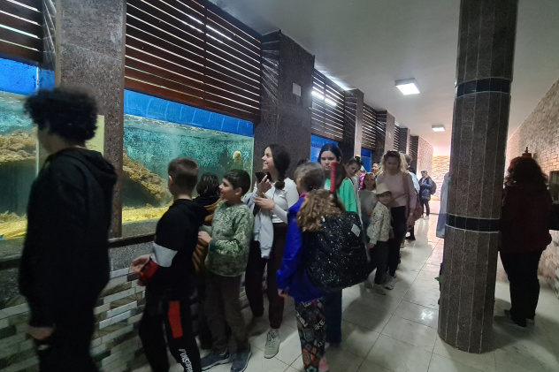 Музей Хамеда Гохара Музей Хамеда Гохара