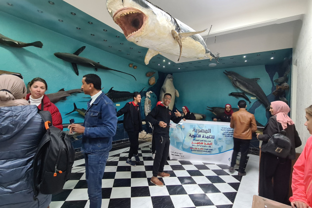 Музей Хамеда Гохара Музей Хамеда Гохара