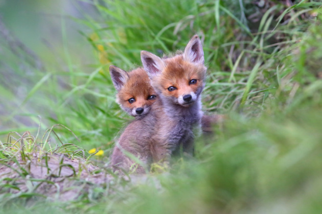 Вадим Трунов, участник фотоконкурса РГО "Самая красивая страна" Вадим Трунов, участник фотоконкурса РГО "Самая красивая страна"