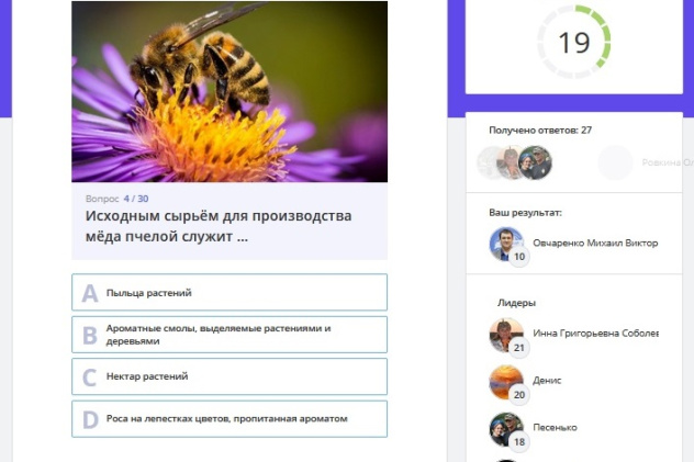 "Пчелиный каледоскоп"