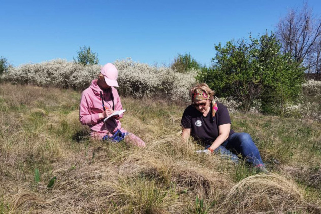 Итоги степной экспедиции Итоги степной экспедиции