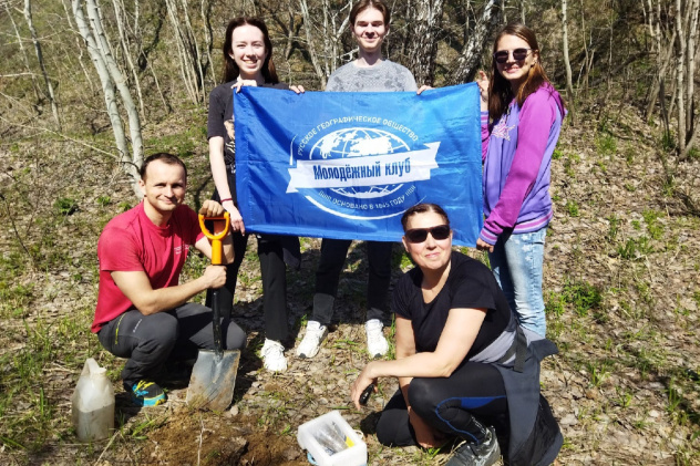Посадка клёна ясенелистного 