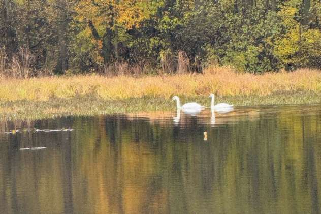 На Святовском озере На Святовском озере
