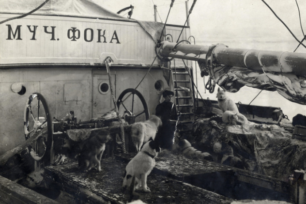 Седов в собаками на шхуне "Святой Фока". Фото: Научный архив РГО