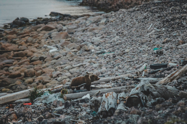 Побережье Северного Ледовитого океана завалено мусором