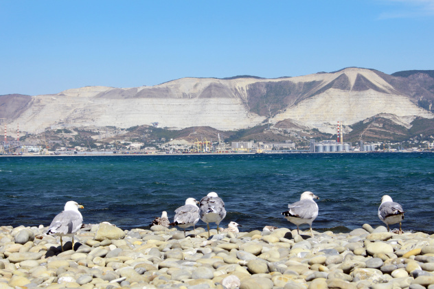 Черноморские наблюдатели (Новороссийск) Черноморские наблюдатели (Новороссийск)