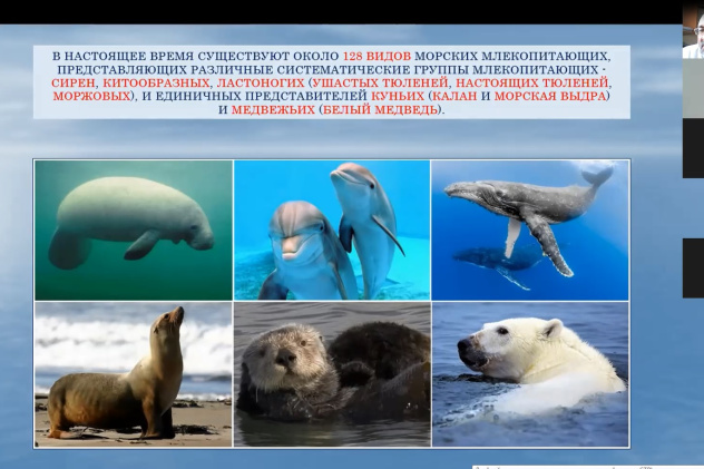 Молодёжный клуб РГО