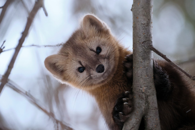 Алексей Багурский, участник фотоконкурса РГО "Самая красивая страна" Алексей Багурский, участник фотоконкурса РГО "Самая красивая страна"