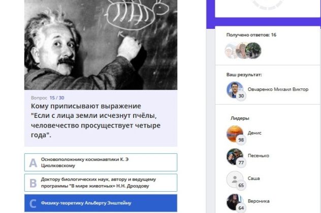 "Пчелиный калейдоскоп"