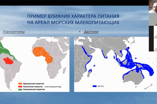 Молодёжный клуб РГО