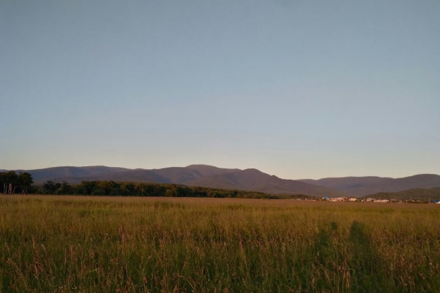 Анна Батмазова