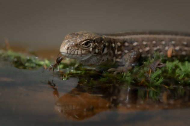 Александр Семенко, участник фотоконкурса РГО "Самая красивая страна" Александр Семенко, участник фотоконкурса РГО "Самая красивая страна"