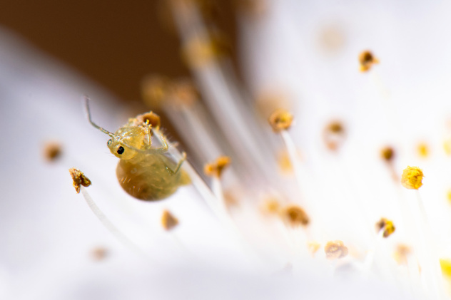 Алексей Перелыгин Алексей Перелыгин