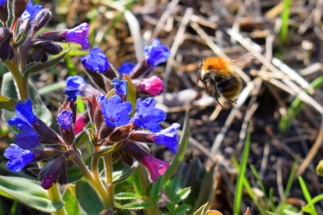 Анатолий Емельянов Анатолий Емельянов
