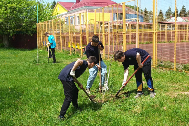 Виктория Жирова Виктория Жирова