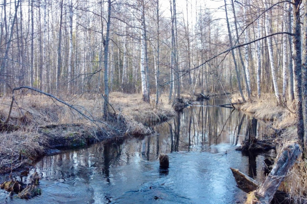 Река Дорогуча Река Дорогуча