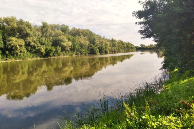 Дельта Волги Дельта Волги