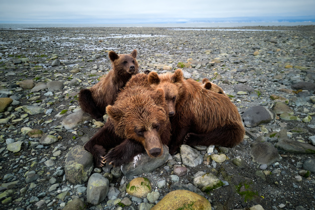 Дмитрий Ханхаев