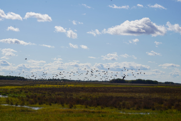 Дмитрий Забуга Дмитрий Забуга