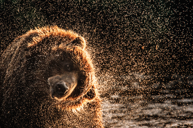 Елена Овсянкина Елена Овсянкина
