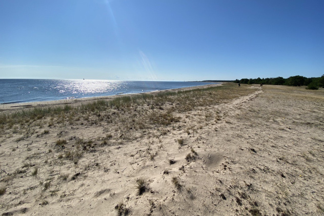 Предоставлено организаторами Предоставлено организаторами