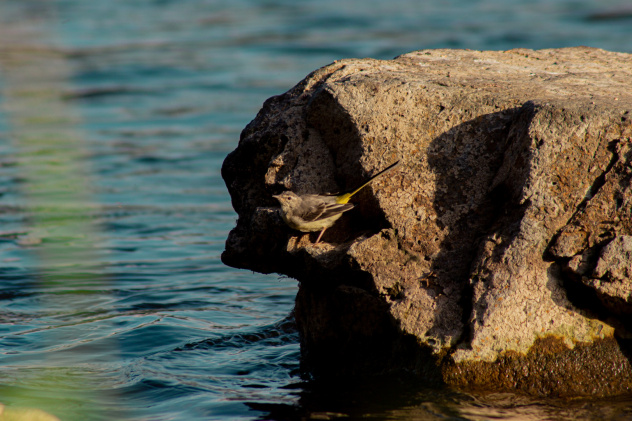 Алиссандра Назаренко, участница фотоконкурса РГО "Самая красивая страна" Алиссандра Назаренко, участница фотоконкурса РГО "Самая красивая страна"