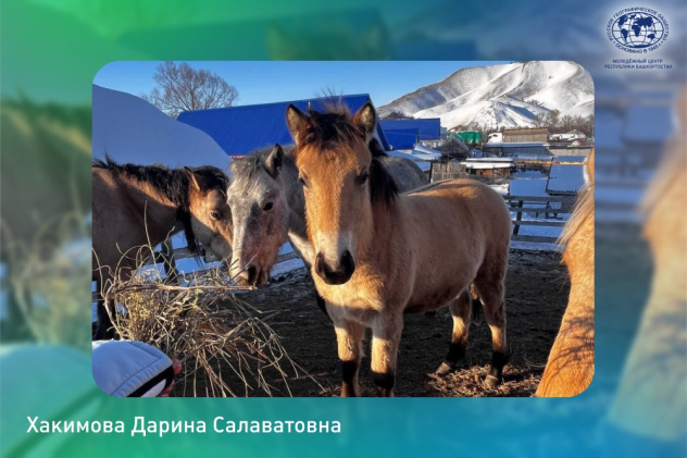 Хакимова Дарина импульс года