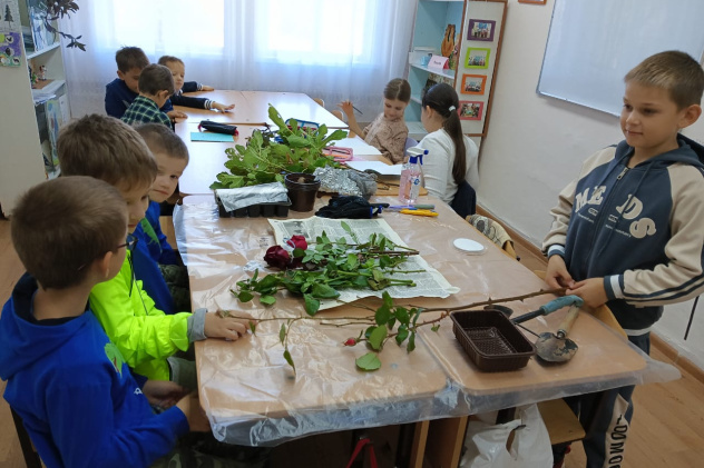 Черенкование роз Черенкование роз