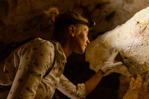 Ксения Гасица Ксения Гасица