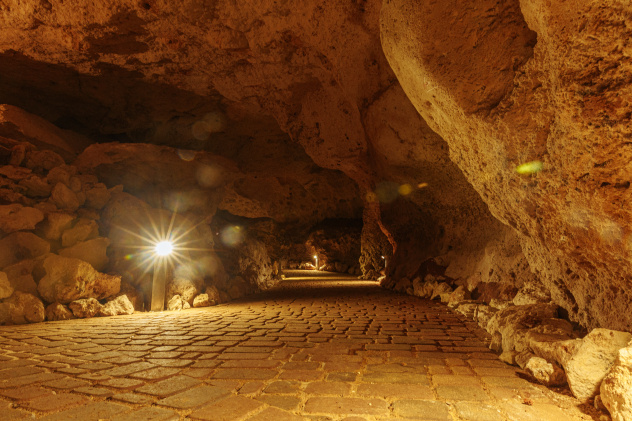 Ксения Гасица Ксения Гасица