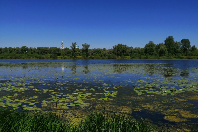 НП "Нижняя Кама" НП "Нижняя Кама"