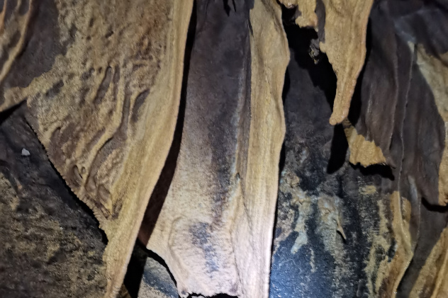 Денис Черепанов 