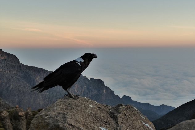 Выше облаков, Максим Червяков Выше облаков, Максим Червяков
