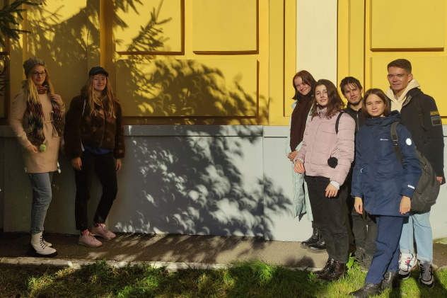 Серповидные тени от листвы деревьев на стене