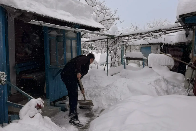 Александр Наумов Александр Наумов