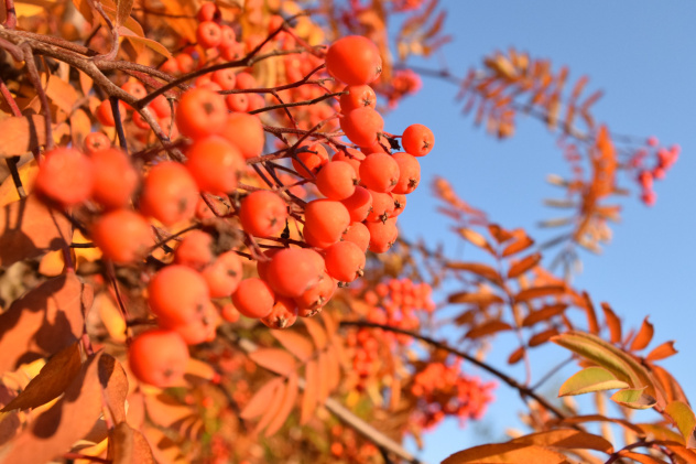 Олеся Шурухина, участница фотоконкурса РГО "Самая красивая страна"