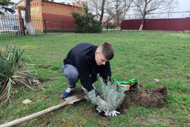 Научные исследования Научные исследования