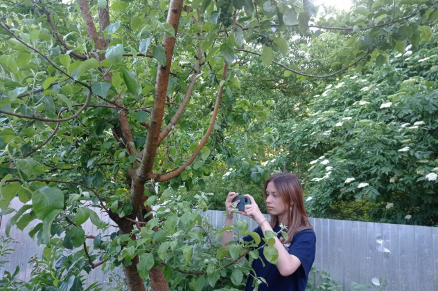 Наблюдение Наблюдение