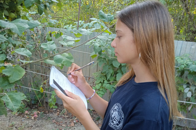 Фенолог проводит исследование Фенолог проводит исследование