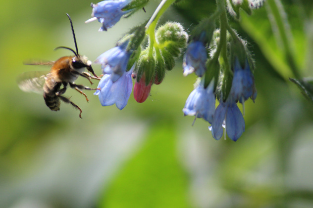 Юлия Святова, участница фотоконкурса РГО "Самая красивая страна" Юлия Святова, участница фотоконкурса РГО "Самая красивая страна"