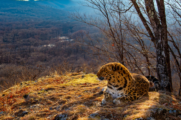 Юрий Смитюк Юрий Смитюк