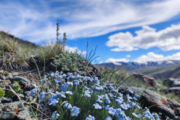 Андрей Булгаков, участник фотоконкурса РГО "Самая красивая страна"