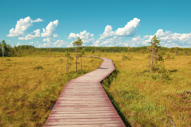 Ольга Мелещенко 