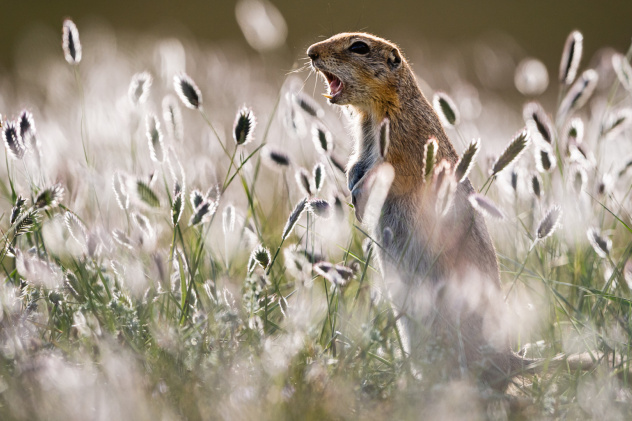 Наталия Чебыкина, участница фотоконкурса РГО "Самая красивая страна"