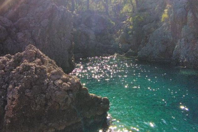 Предоставлено Молодежным клубом РГО "Анадолу" Предоставлено Молодежным клубом РГО "Анадолу"