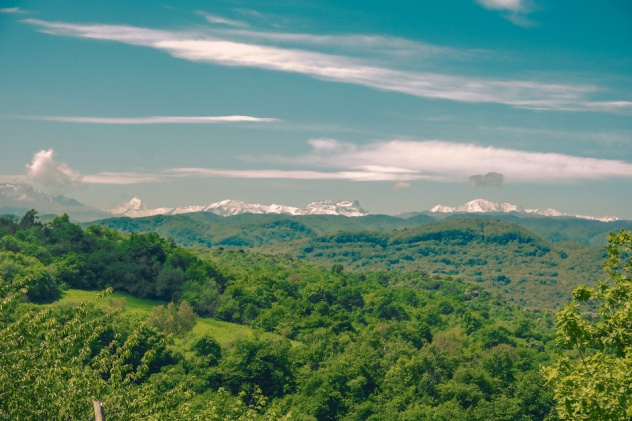 Ислам Шогенов Ислам Шогенов