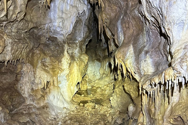 Дмитрий Слесаренко