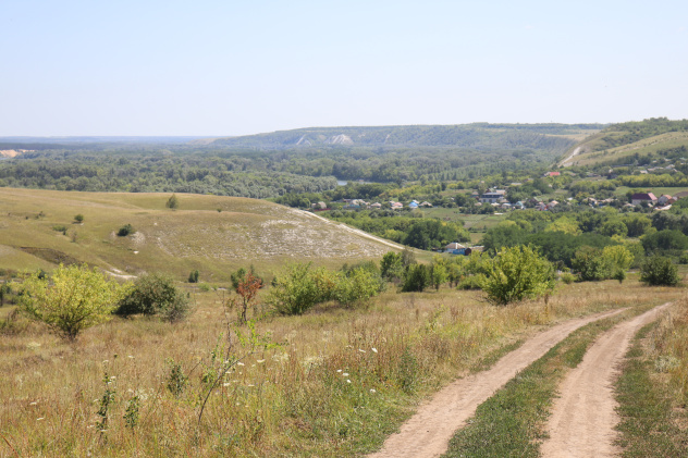 Дмитрий Владимиров